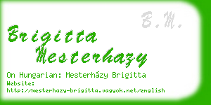 brigitta mesterhazy business card