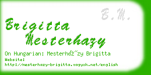 brigitta mesterhazy business card